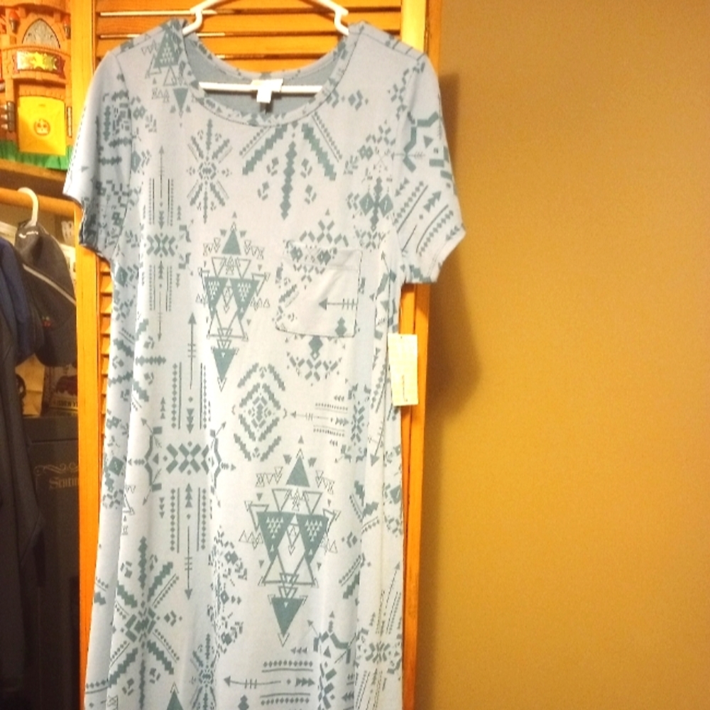 LuLaRoe Carly Dresses